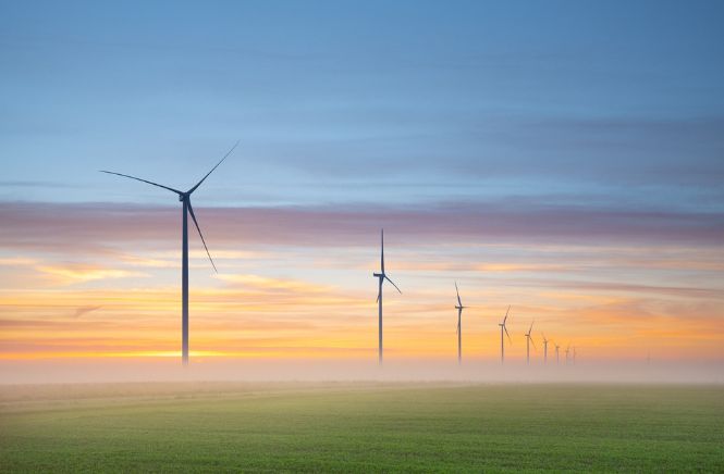 Meerdere windmolens op een rij