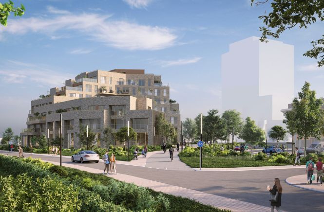 Alkmaar Reales Header