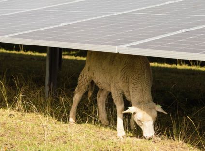 De Groene Stroom Zonnepanelen